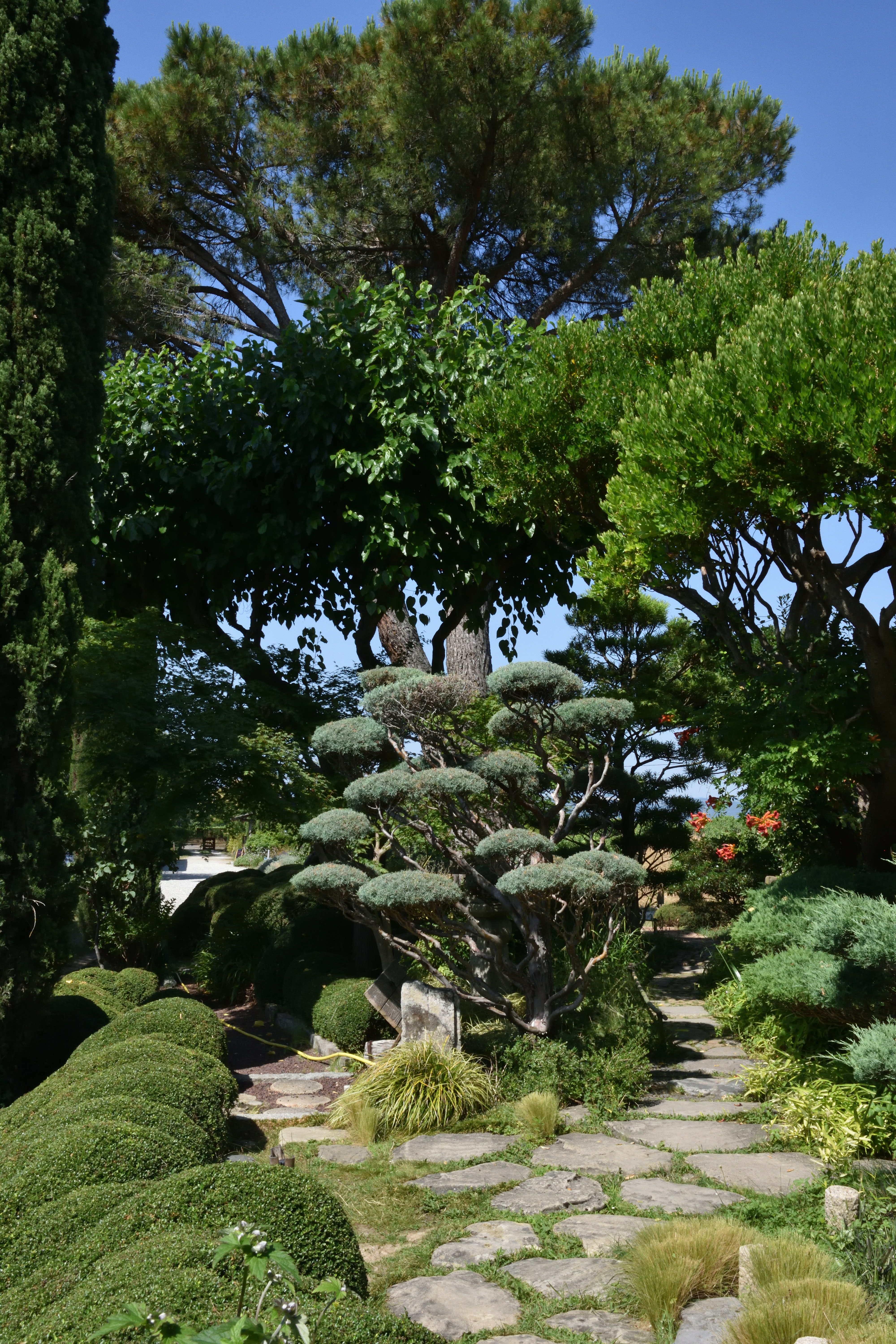 The focused path