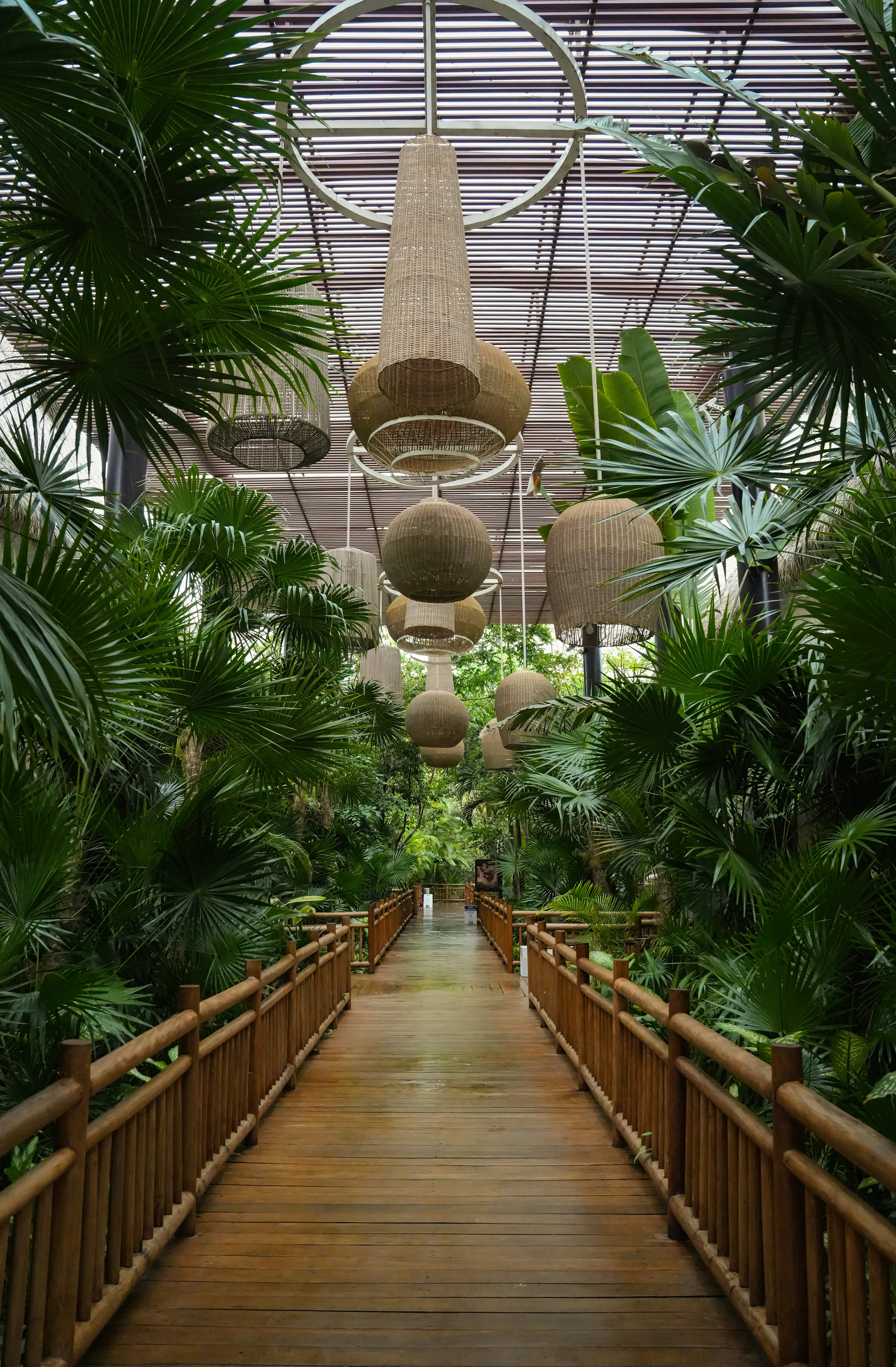 The courtyard experience