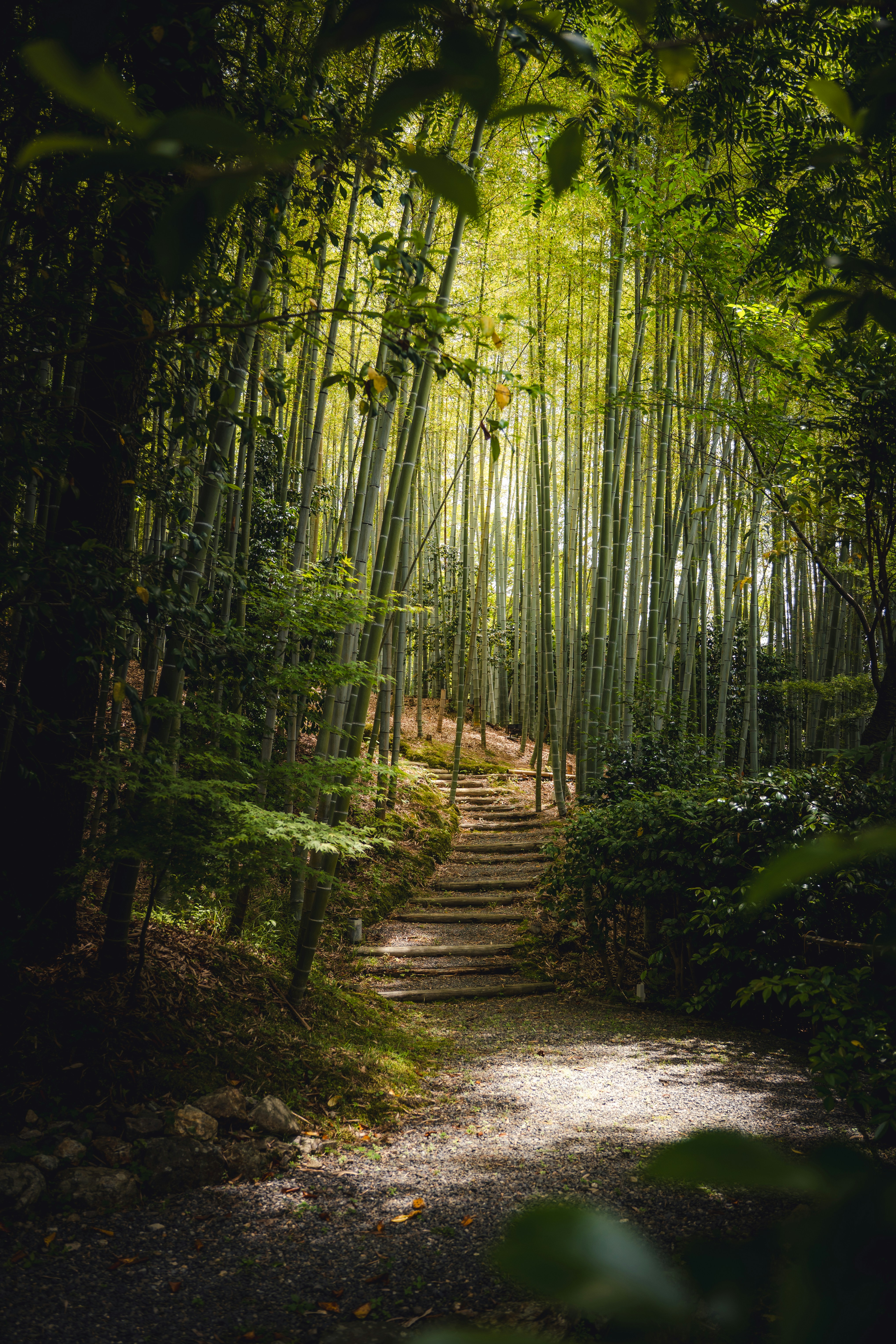 The sheltered reprieve